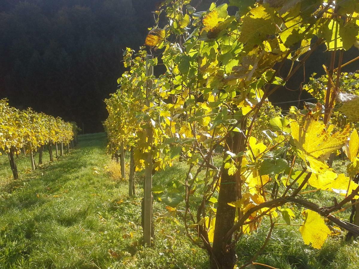 Weingut- Gaestezimmer Marko Leutschach Exterior foto